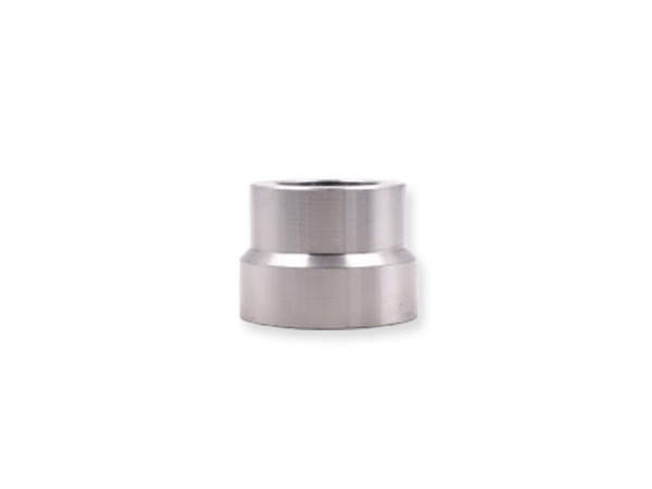 socket weld reducer insert